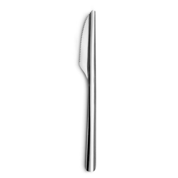 Knivsæt Ecologic Slim Metal Stål 12 Enheder Fra Amefa
